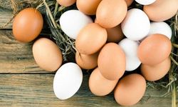 Beyaz ile kahverengi yumurta arasındaki fark netleşti: Kabuk rengi sağlığı etkiliyor mu?