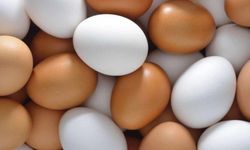 Uzmanlar uyardı: Yumurtanın tüm faydasını yok eden pişirme hataları ve en sağlıklı yöntemler