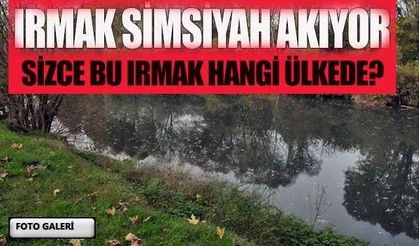 Bartın Irmağı Siyaha Büründü...