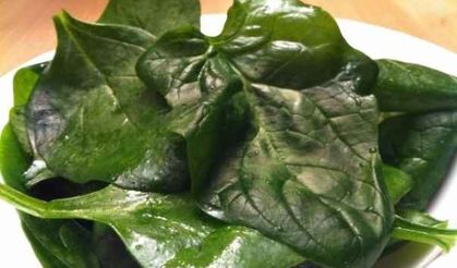 Nikotini Yok Eden Yiyecek Içecekler!