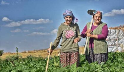 Üniversiteli kız kardeşler tatilde tarlada 