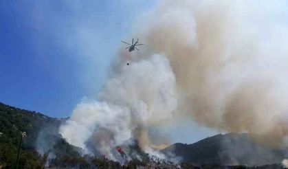 Kaş'ta orman yangını