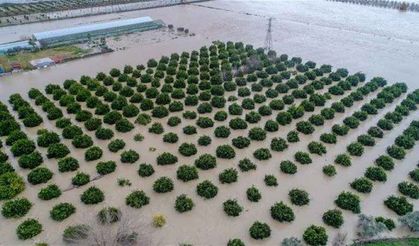 Antalya'da şiddetli yağış, fırtına ve hortum, tarım alanlarını vurdu