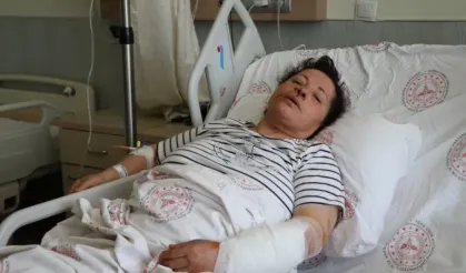 Köpek saldırısında yaralanan kadın tedavi altına alındı! İşte saldırı anı