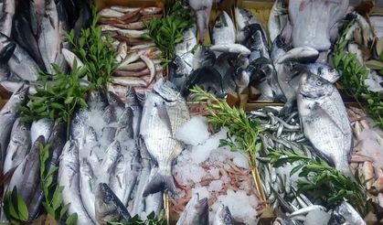 Bayat balığa dikkat! İşte taze balığı anlamanın püf noktaları