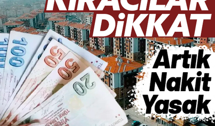 Yaktılar, yıktılar, katlettiler