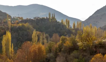 Tohma Vadisi'nde rengarenk sonbahar! İşte muhteşem görüntüler