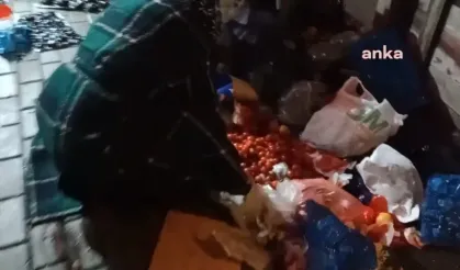 Akşam pazarında yürek burkan görüntüler... Yere atılmış atıkların arasından işe yarar domates ve portakal seçtiler
