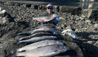 Vakfıkebir açıklarında somonlar kaçtı: Balıkçılar oltalara sarıldı!