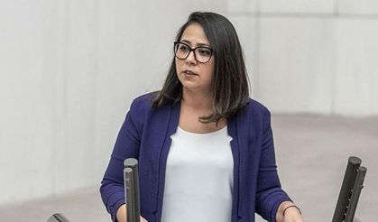 Serra Kadıgil'e soruşturma: İki ayrı suçtan inceleme