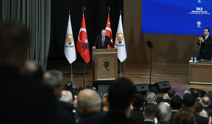 Erdoğan'dan fon kriziyle ilgili yeni mesajlar: Yanlış yapanla vedalaşacağız, Devlet Denetleme Kurulu görevlendirildi