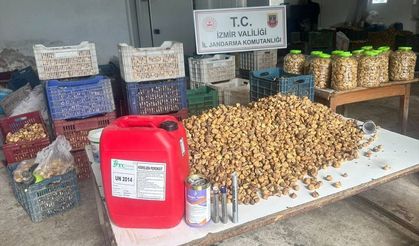 İncirimize göz diktiler! Kimyasal maddelerle beyazlatılan 3 ton incir yakalandı