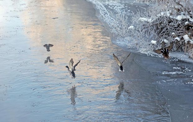 Erzurum, Kars ve Ardahan eksiyi gördü