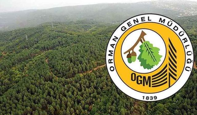 OGM işçi alımı başvurusu nasıl yapılır, KPSS şartı var mı? Orman Genel Müdürlüğü işçi alımı şartları neler.*
