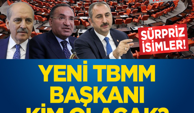 Yeni TBMM başkanı kim olacak? Sürpriz isimler belli oldu
