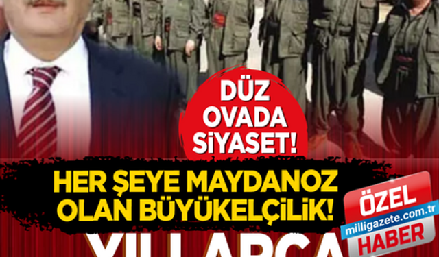 Düz ovada siyaset! Her şeye maydanoz olan büyükelçilik