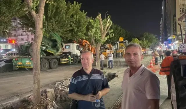 Batman’da tepki çeken proje: Diyarbakır Caddesi’nde gece yarısı ağaçlar söküldü