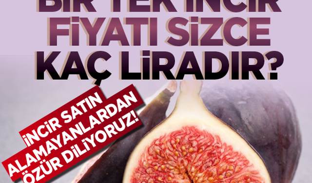 Bu bir 'durumumuz ve farkındalık' haberidir! Bir tek incir fiyatı sizce kaç liradır? İncir satın alamayanlardan özür diliyoruz!