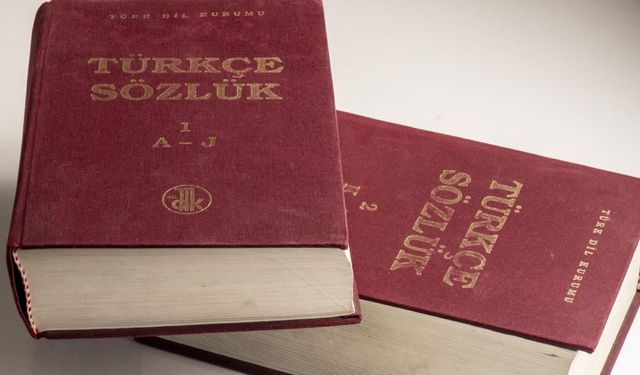 Türkiye, 15 Aralık'ın "Dünya Türk Dili Ailesi Günü" ilan edilmesini memnuniyetle karşıladı