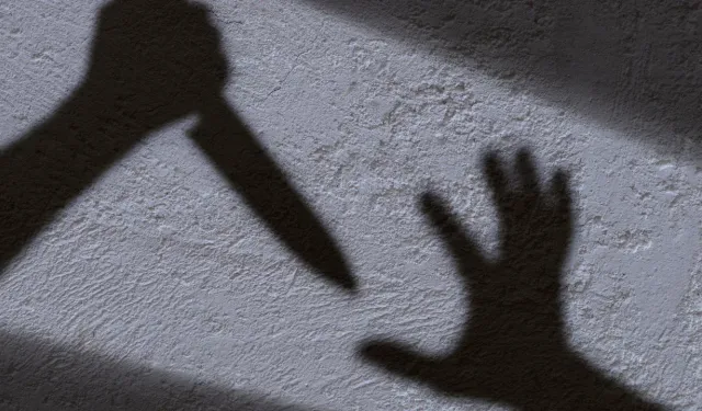 Nevşehir'de bir kadın, kocası ve kız kardeşini bıçakla yaraladı