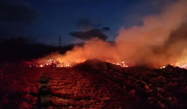 Bilecik'te çiftlik alevlere teslim oldu