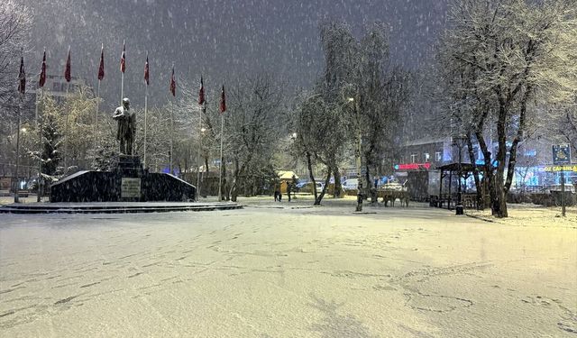 Ardahan'da lapa lapa sürpriz! Kent beyaza büründü
