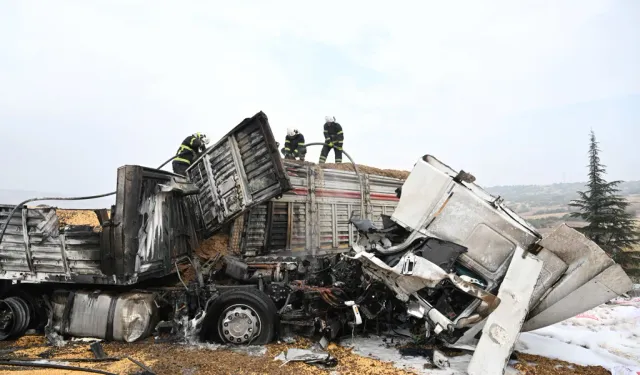 TAG Otoyolu'nda 3 TIR alev topuna döndü!