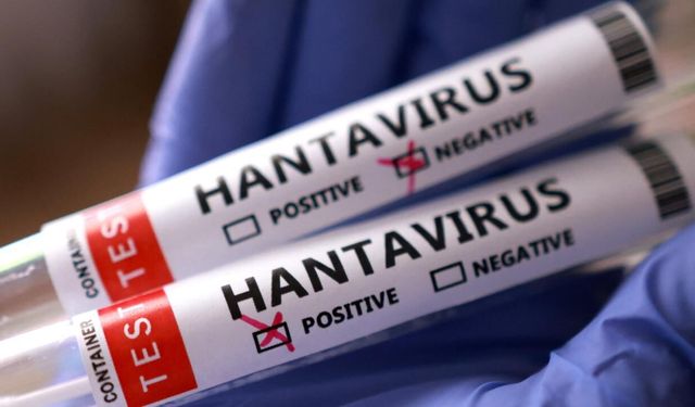 Hantavirüs Türkiye'yi vurur mu? Uzman isim o tehlikeyi açıkladı