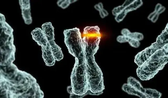 Kromozom Bozukluğu ve Tek Gen hastalıklarına Genetik ayıklamayla son