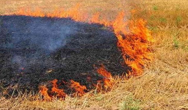 Çanakkale'de kabus dönemi başlamadan önlem geldi: Anız yakmak yasaklandı