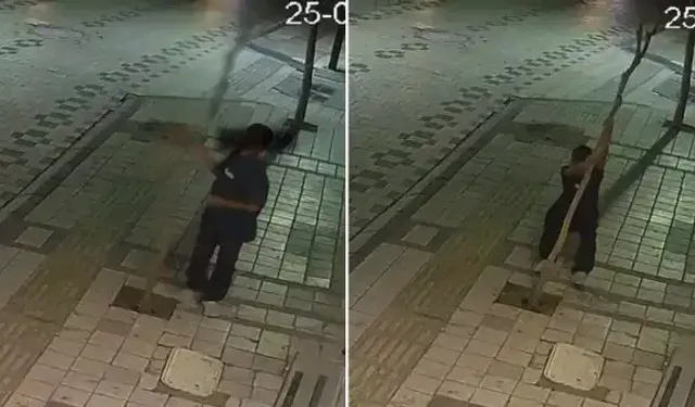 Hakkında soruşturma başlatıldı: Kaldırımdaki ağacı kıran çocuğun başı derde girdi!