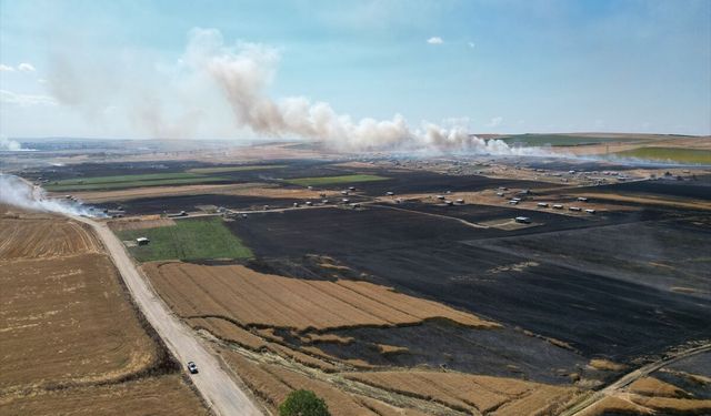 Tekirdağ'da tarlada çıkan yangın söndürüldü