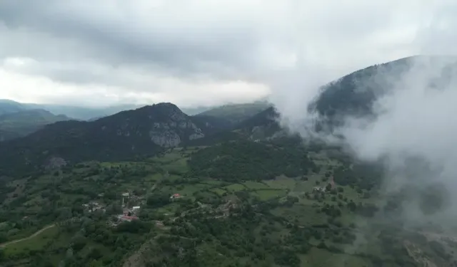 Amasya'da ormanlara giriş yasaklandı: Ağır cezası var
