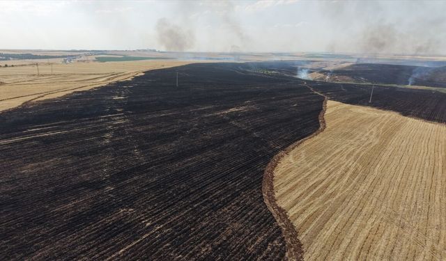 Diyarbakır'da çıkan anız yangını kontrol altına alındı