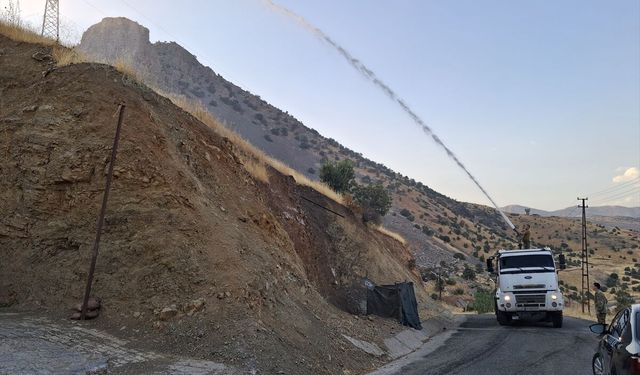 Şırnak'ta çıkan orman yangını kontrol altına alındı