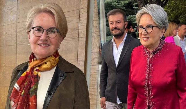 Meral Akşener kendi vakfını kurdu: Logosu belli oldu
