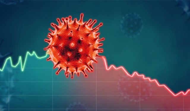 Bir ülkede Ebola virüsü paniği! Ebola virüsü nedir, Türkiye'de ebola virüsü riski var mı?