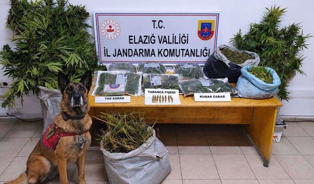 Elazığ'da uyuşturucu operasyonunda 3 şüpheli tutuklandı