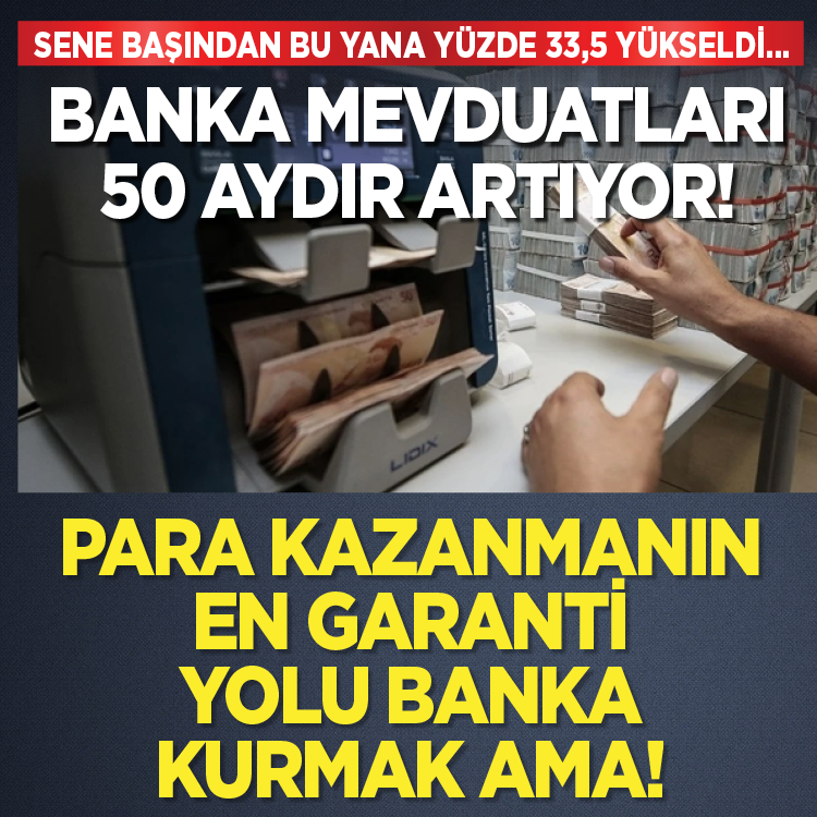 Sene başından bu yana yüzde 33,5 yükseldi: Banka mevduatları 50 aydır artıyor!