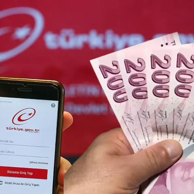 Vatandaşlar akın etti: E-Devlet'in o özelliği rekor kırıyor