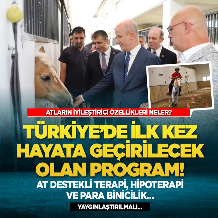 Atların iyileştirici özellikleri neler? Türkiye'de ilk kez hayata geçirilecek olan program! At destekli terapi, hipoterapi ve para binicilik... Yaygınlaştırılmalı...