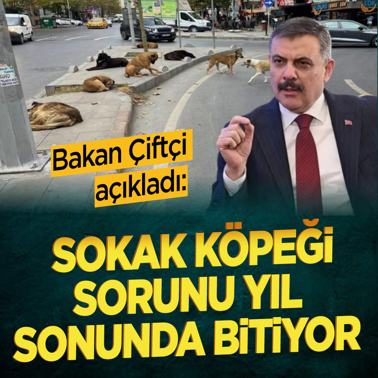 Bakan Çiftçi açıkladı: Sokak köpeği sorunu yıl sonunda bitiyor