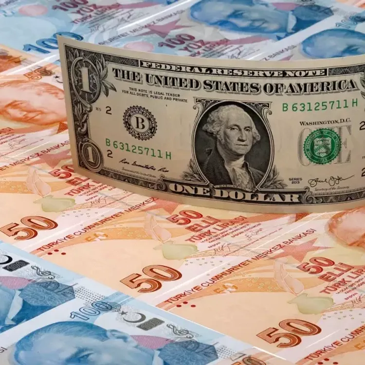 Döviz kurlarında Salı sürprizi: Dolar 46 liraya demir attı