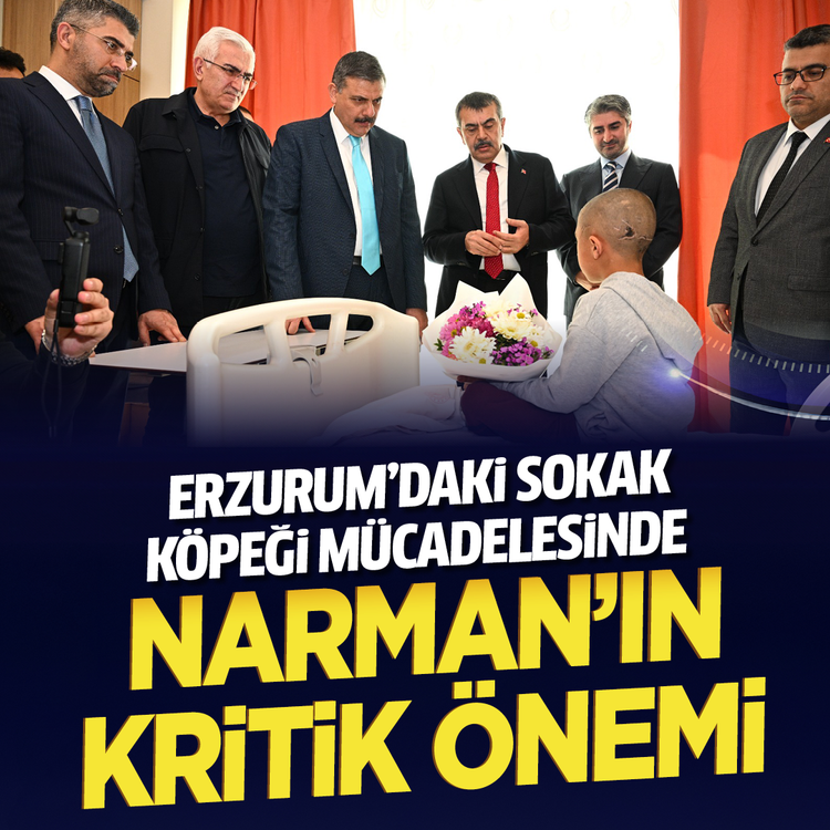 Erzurum’daki sokak köpeği mücadelesinde Narman’ın kritik önemi