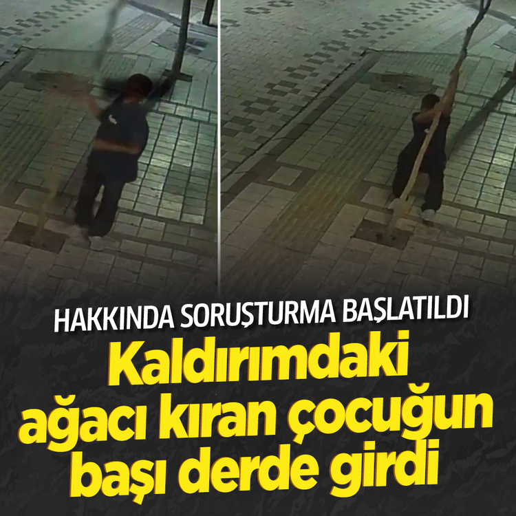 Hakkında soruşturma başlatıldı: Kaldırımdaki ağacı kıran çocuğun başı derde girdi!