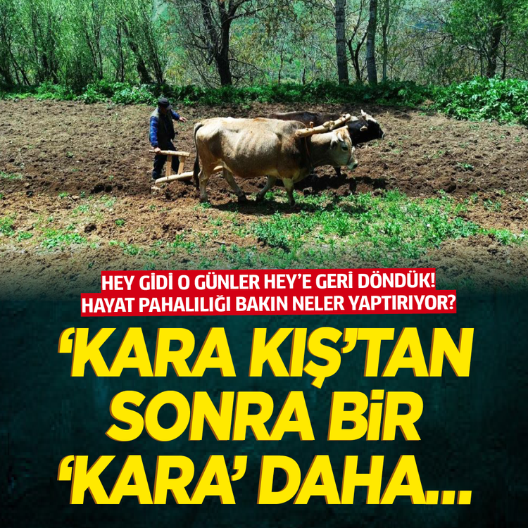 “Hey gidi o günler hey’e geri döndük! Hayat pahalılığı bakın neler yaptırıyor? ‘Kara Kış’tan sonra bir ‘kara’ daha…