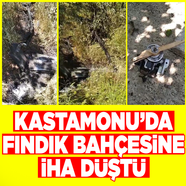 Kastamonu'da fındık bahçesine İHA düştü