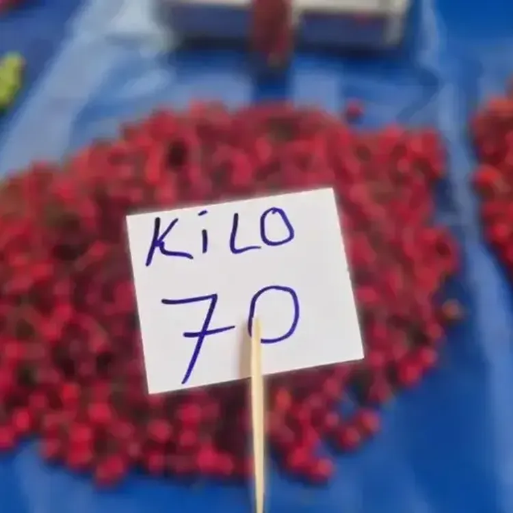 Kirazda yüzler gülüyor: Fiyatlar 70 liraya kadar geriledi!