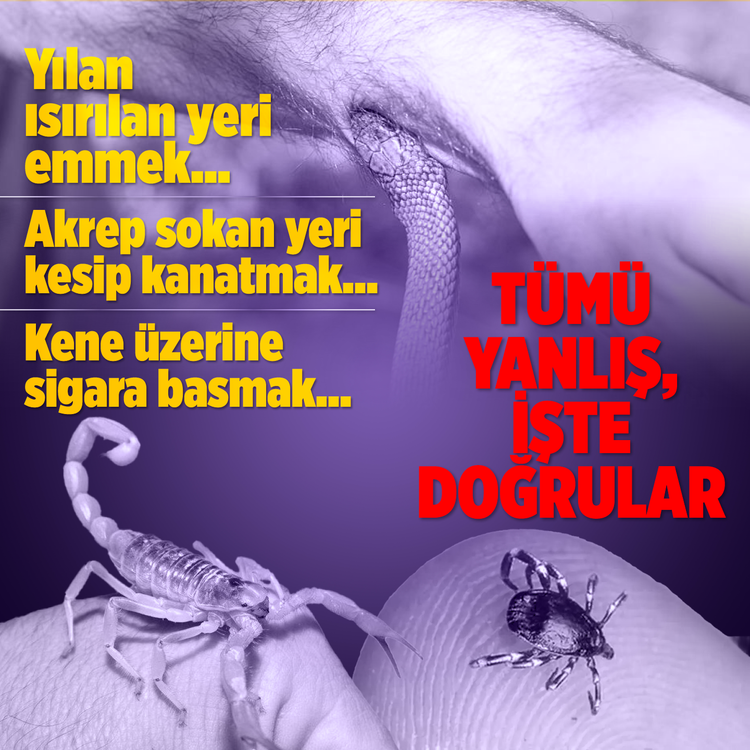 Yılan ısırılan yeri emmek... Kene üzerine sigara basmak... Akrep sokan yeri kesip kanatmak... Tümü yanlış, işte doğrular...