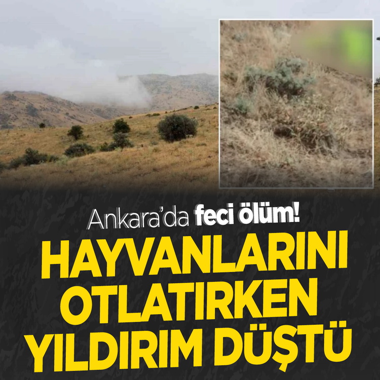 Ankara'da feci ölüm! Hayvanlarını otlatırken yıldırım düştü